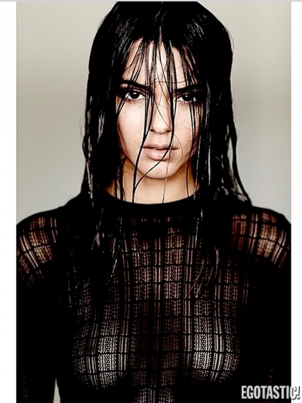 Kendall-Jenner-See-Through-Top-on-Instagram-LB-435x580.jpg