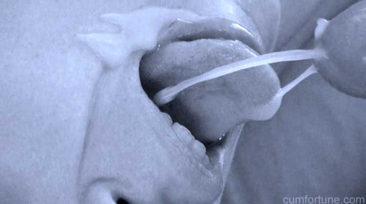 n002.jpg