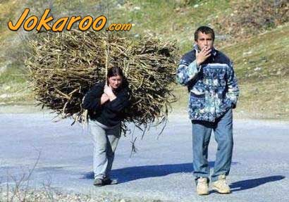 hay.jpg