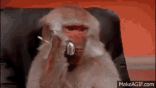 IMG_7114.gif