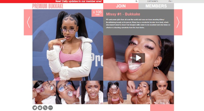 Missy.jpg
