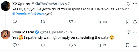 Rosa Josefin_x.png