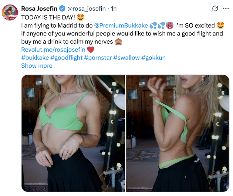 RosaJosefin_X_aug_13_2025.png